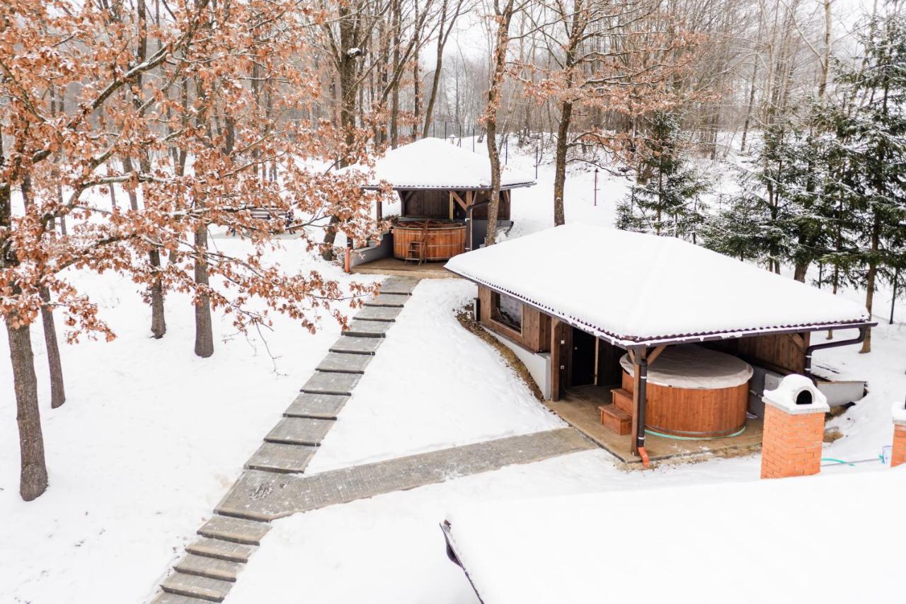 Transylvanian Relax House Lupeni  Exterior foto