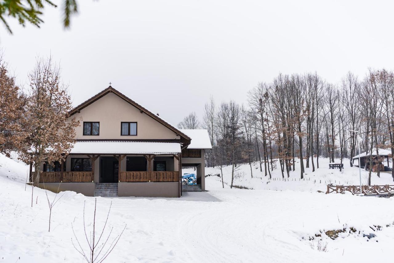 Transylvanian Relax House Lupeni  Exterior foto