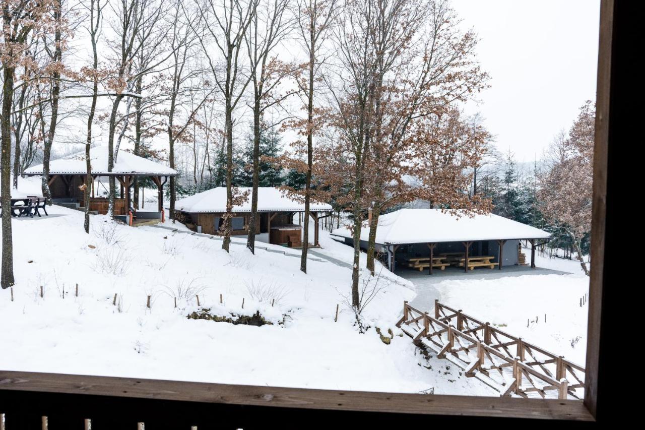 Transylvanian Relax House Lupeni  Exterior foto